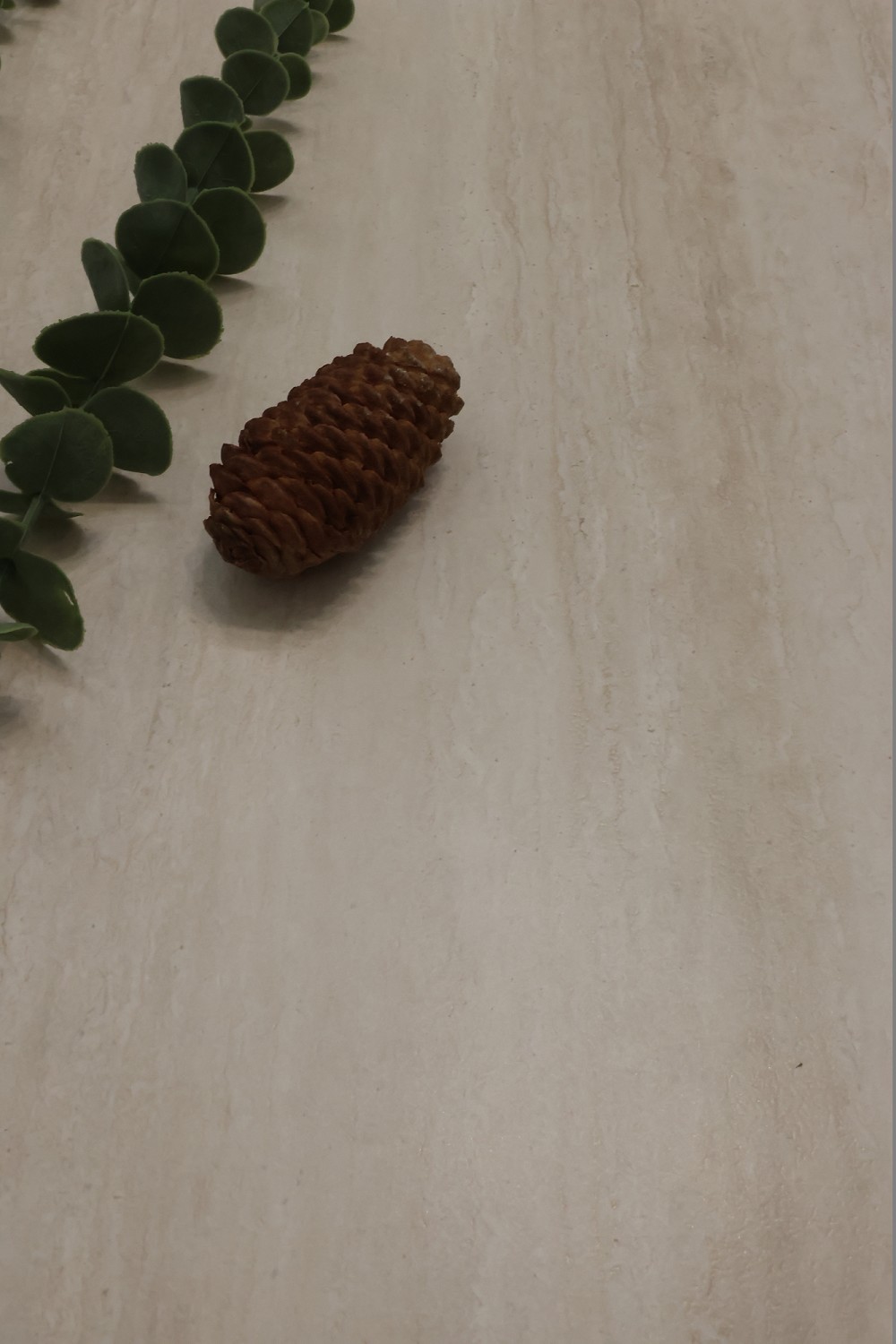 PariMatch拼搏·(中国)体育官方网站