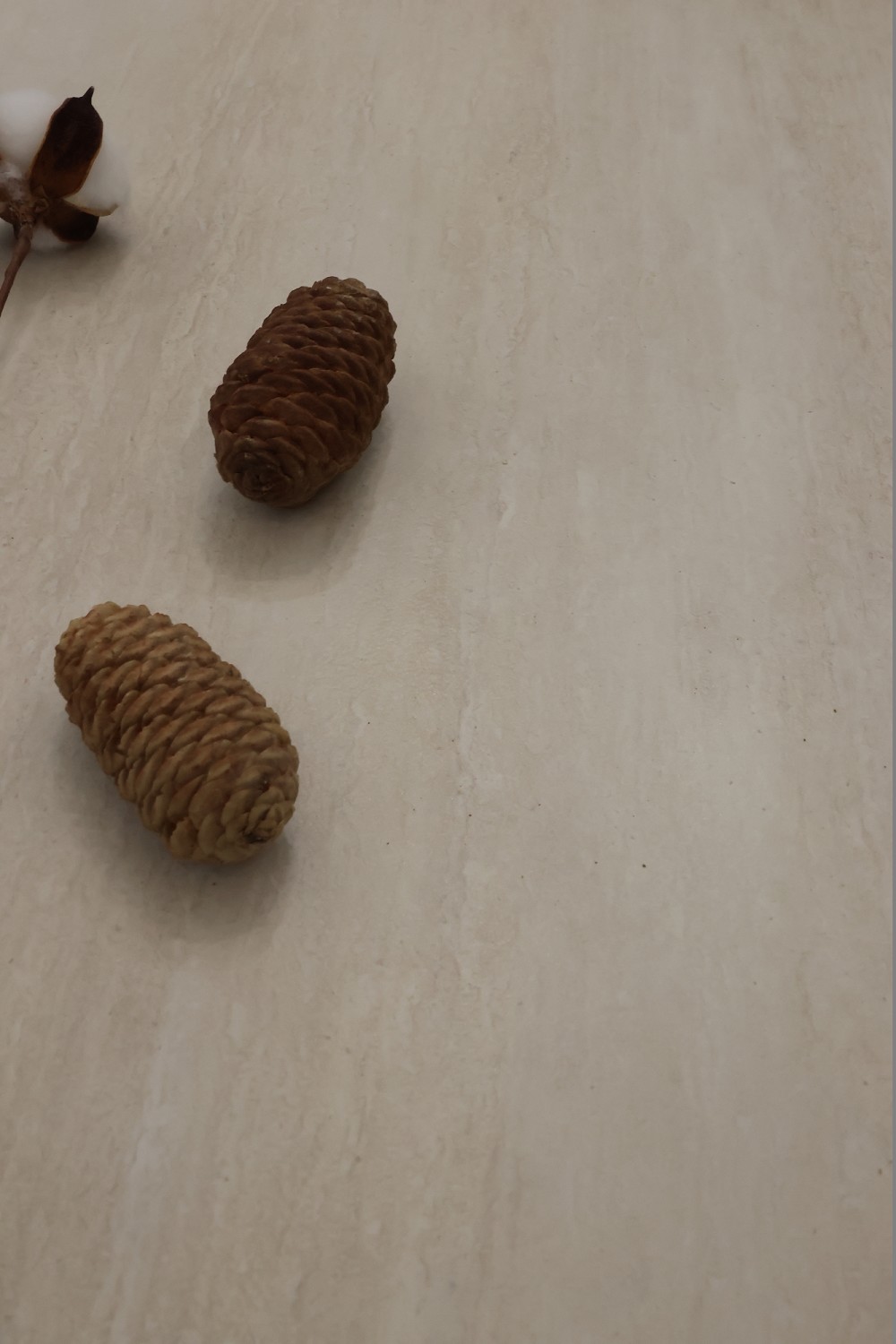 PariMatch拼搏·(中国)体育官方网站