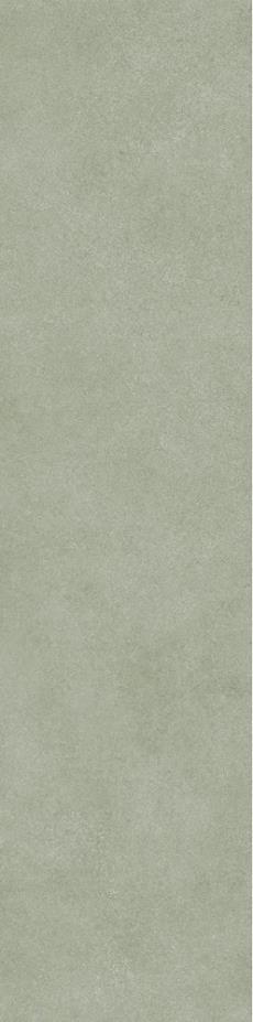 AA307525竹节(豆青)